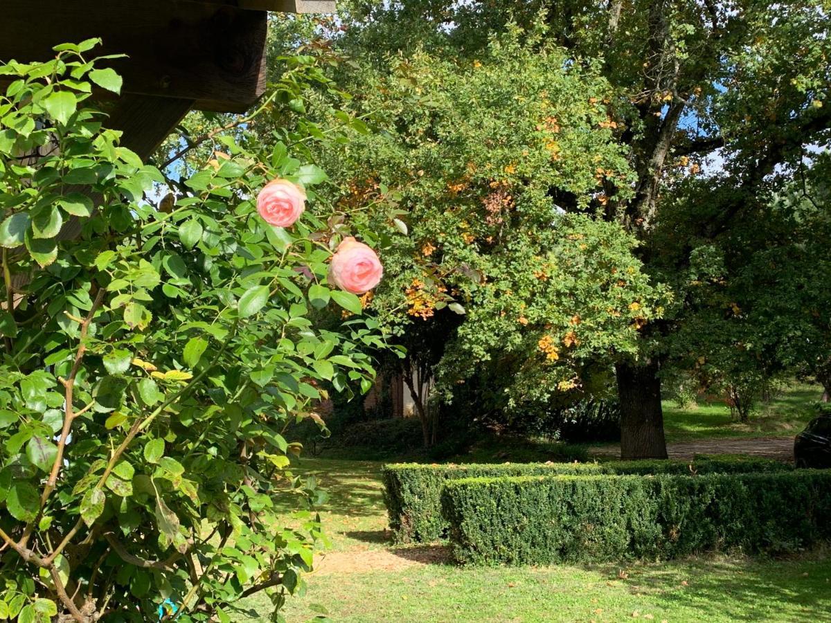Majellon Grand Appartement Sainte-Christie-d'Armagnac Zewnętrze zdjęcie